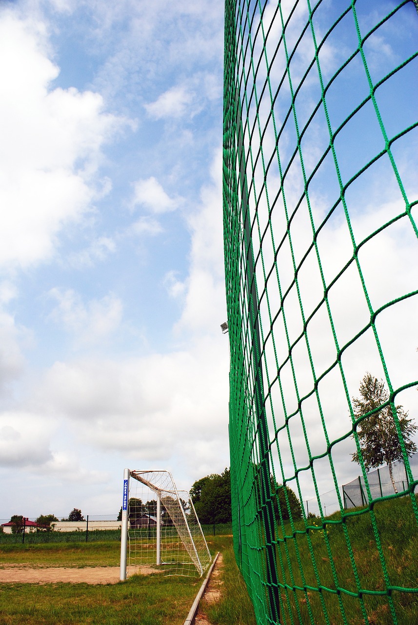 的说法不仅 的说法不仅