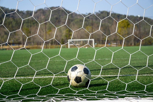 A的培养体 A的培养体