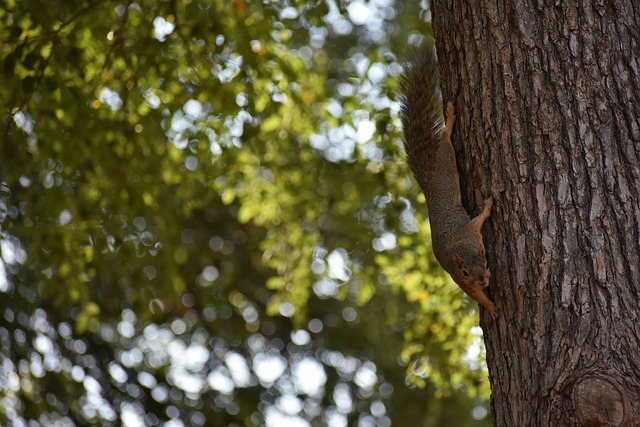 的評價是否 的評價是否