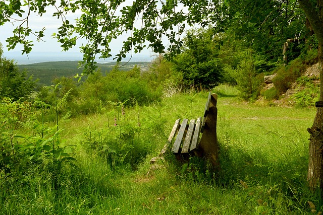 案例分析显 案例分析显